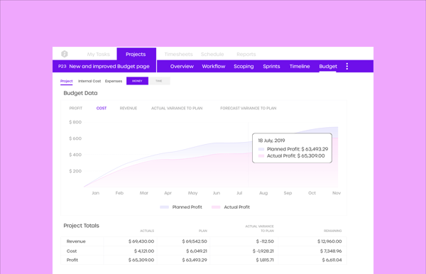 New superior project budget management solution