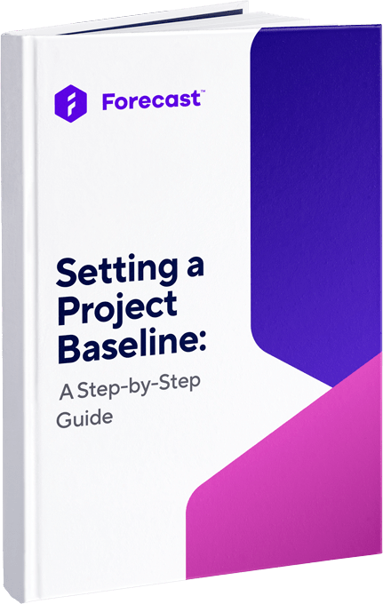 Setting a Project Baseline: A Step-by-Step Guide