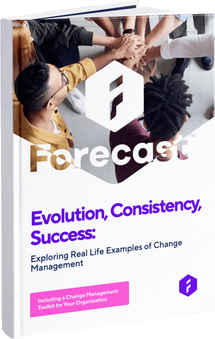 Evolution, Consistency, Success: Exploring Real Life Examples of Change Management