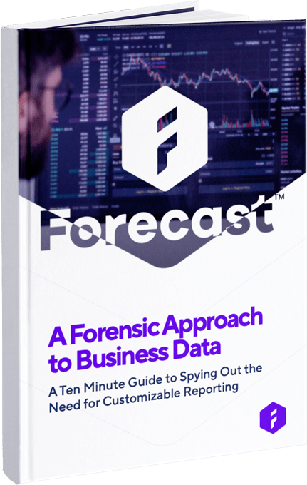 A Forensic Approach to Business Data: A Ten Minute Guide